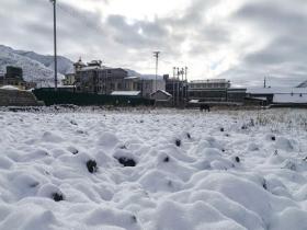 青海久治迎今冬首场暴雪 交通受阻车辆滞留