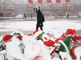 寒潮威力显现 一组图直击各地雨雪现场