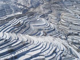 空中视角看雪后梯田 层层叠叠宛如“大地指纹”