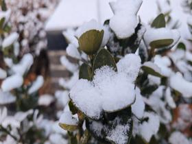 山东烟台飘雪 地面积雪影响出行