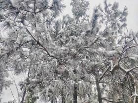 湖南古丈高海拔地区积雪加厚 一片银装素裹