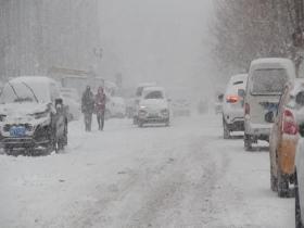 山东威海烟台雪花密集 天地银白