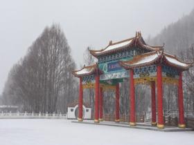 内蒙古大兴安岭飘雪 大地披银装