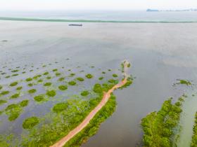 鄱阳湖水位2025年首次突破12米枯水线