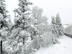 青海久治六月飞雪 地面积雪明显道路结冰