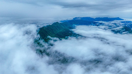 重庆酉阳雨后现平流雾景观 美若仙境