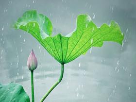 雨落成诗 那些雨中的诗情画意
