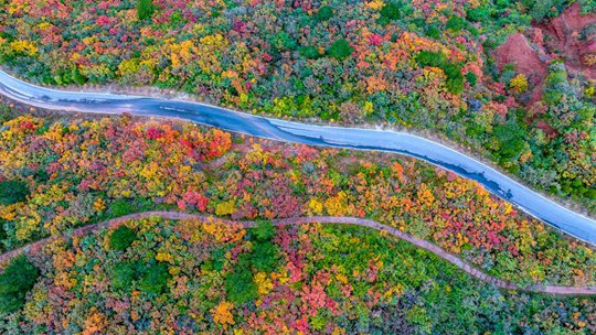 山西平陆秋色绚烂 大地上演斑斓盛宴