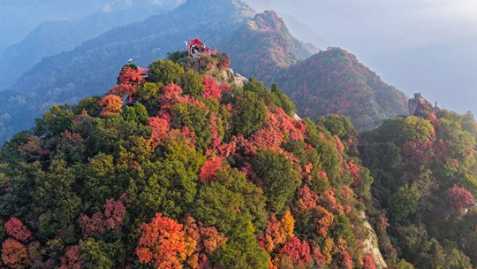 重阳节：登高望远 尽览万山秋色