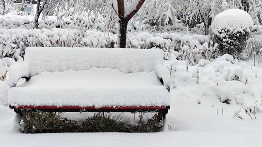 新疆乌鲁木齐降大暴雪 天地一片银白