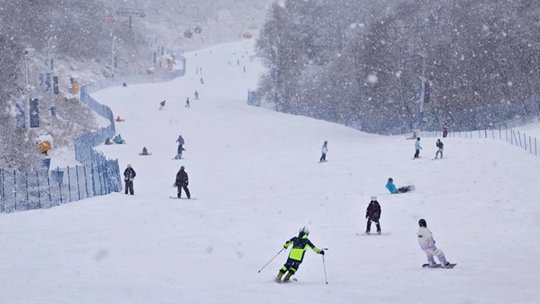 河北崇礼降雪 滑雪爱好者畅享雪中乐趣