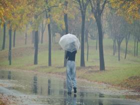 河南平顶山雨雾蒙蒙 湿冷感明显