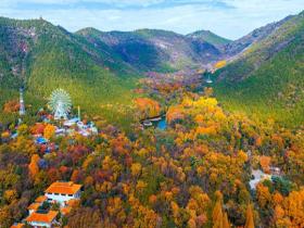 秋到南方 赴一场秋叶的绚烂之约