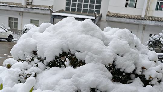 陕西宁陕县迎来降雪 开启“银装”模式