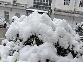 陕西宁陕县迎来降雪 开启“银装”模式