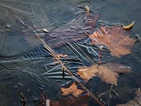 秋尽冬生 北京湖面开启冰封模式