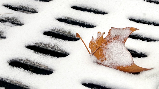 山东威海迎降雪 地面银白