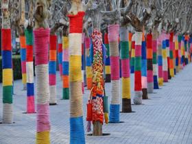 北京街头大树穿上“彩色毛衣”