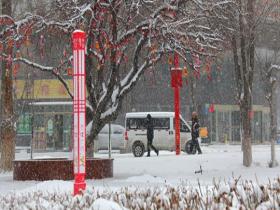新疆塔城迎降雪 大地银白寒意十足