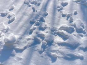 北京官厅湖满目皆景 风卷积雪别样美