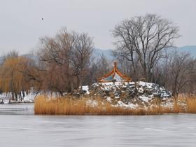 北京圆明园：寒霜压芦苇 残雪映西山