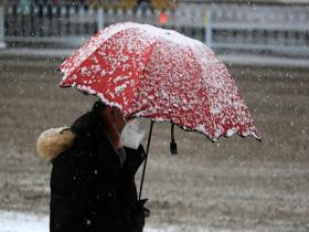 沈阳雪花纷飞迷人眼 道路湿滑影响出行