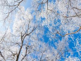 蓝天邂逅雾凇 吉林开启“仙境”模式