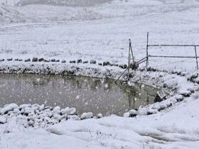 瑞雪迎新！湖南湘西州八面山大雪漫卷 天地披银装