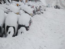 “雪窝”山东威海迎冷流降雪 积雪深度超20厘米