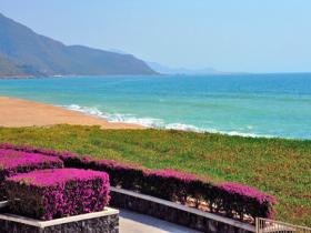 海南三亚：躲避寒冷 尽享暖阳里的松弛感