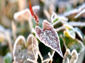 贵阳气温低迷 大地染霜
