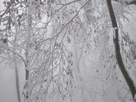 辽宁本溪迎来降雪 山林一片银白如人间仙境