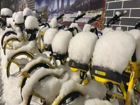 北京今年首场降雪来袭 积雪蓬松如白胖馒头