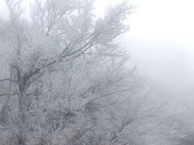 寒潮持续影响广西 多地现雾凇冰挂景观
