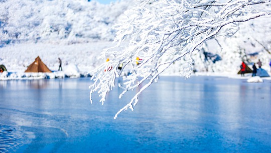 素白映碧蓝 勾勒出冬日空灵与旷远