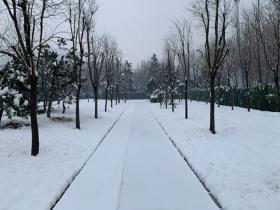 河北石家庄迎降雪天气 大地换银装