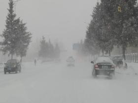 内蒙古牙克石飞雪漫天 白茫茫一片