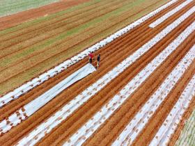 万象“耕”新 不负农时不负春