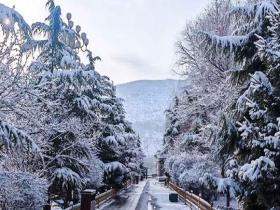 青海黄南出现降雪 银装素裹冬韵十足