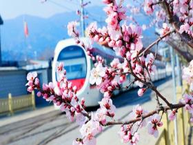 开往春天的列车：风暖景明 邂逅山河浪漫