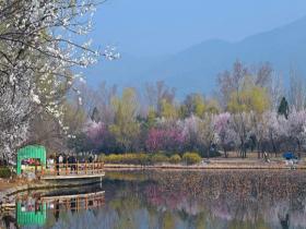 春染千般色 国家植物园满园芳菲入画来