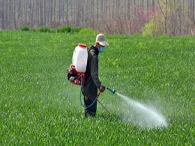 河南汝州天气晴好 春意盎然农事忙