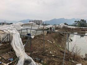 广东肇庆高要区遭遇强对流天气 多个虾养殖基地设施受损