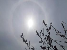 河南驻马店上空现日晕景观