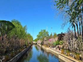 海棠花溪实况 这一波春天请查收