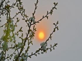 北京阴云自带滤镜 太阳晕染如小橘灯