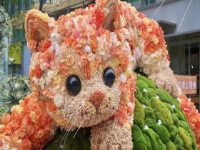 春天可爱值拉满 花艺小动物萌出圈