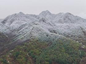 辽宁本溪雪落花枝 山顶覆白