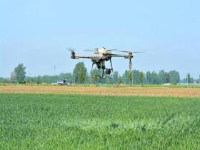 河南汝州麦田碧绿 无人机施肥科技助农