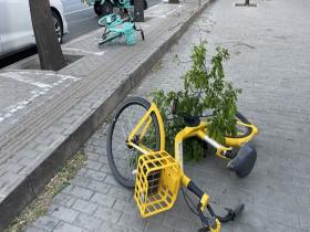 北京大风呼啸 街头车辆被吹倒树枝折断